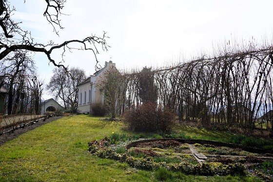 Klostergarten 