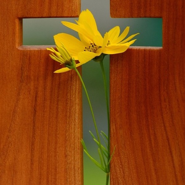 Kreuz mit Blume