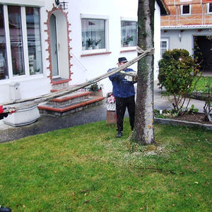 Unser Christbaum