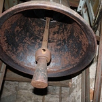 Turmfalken