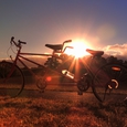 Tandem. © PsJeremy - back to Terra Australis/flickr.com
