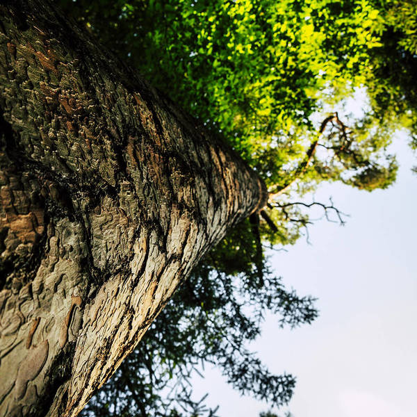 Anforderungsprofil / © Tommy_Rau/pixabay.com/CC0 1.0 Anforderungsprofil