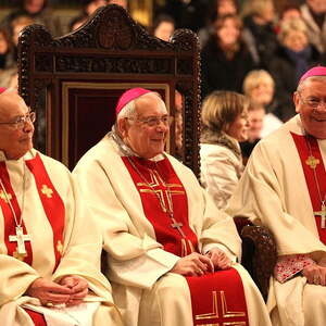 30 Jahre Bischofsweihe, Linzer Mariendom (2012)