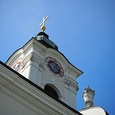Kirchtürme sind beliebte Nistplätze