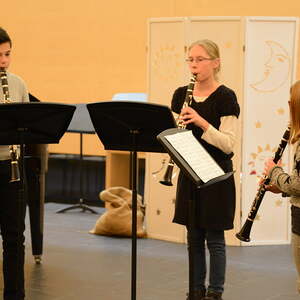 Adventkonzert LMS 2014