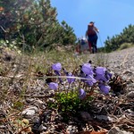 Wandern mit der Bibel 2020 - Matrei