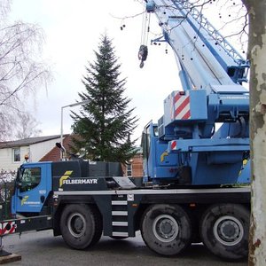 Unser Christbaum