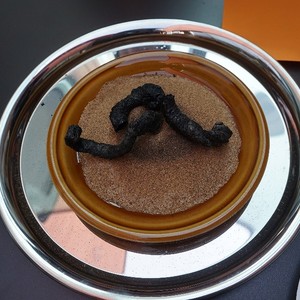 Hexerei in der Bibliothek Sarleinsbach