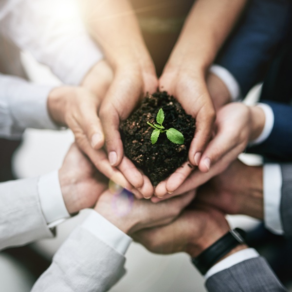 Generating growth by joining forces / Cecilie_Arcurs Cropped shot of a team of colleagues holding a plant growing out of soil